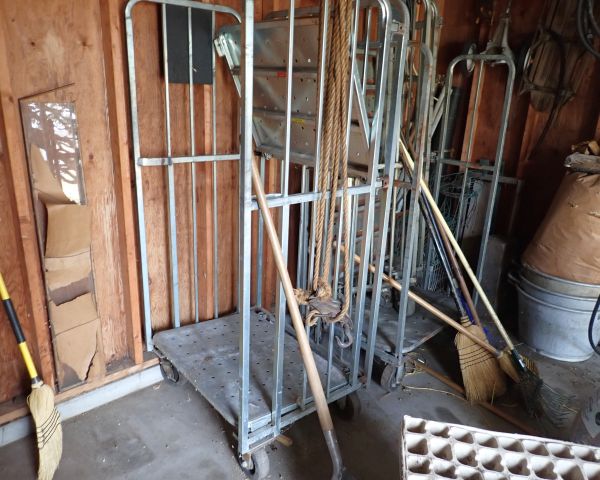 auction image