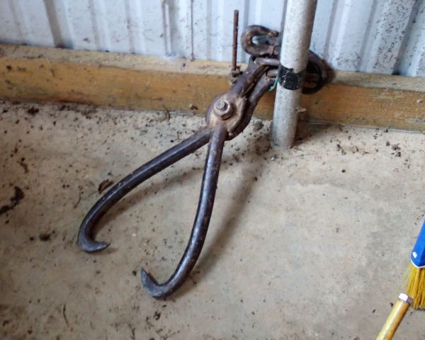 Auction listing photo