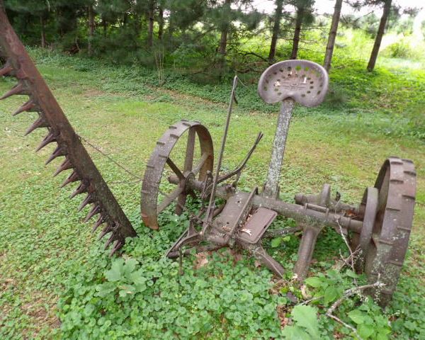 auction image