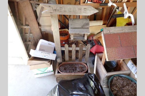 Auction listing photo