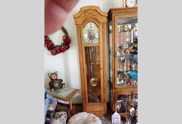 Auction listing photo