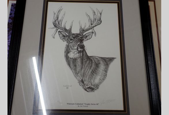 Auction listing photo