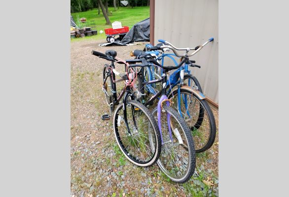 Auction listing photo