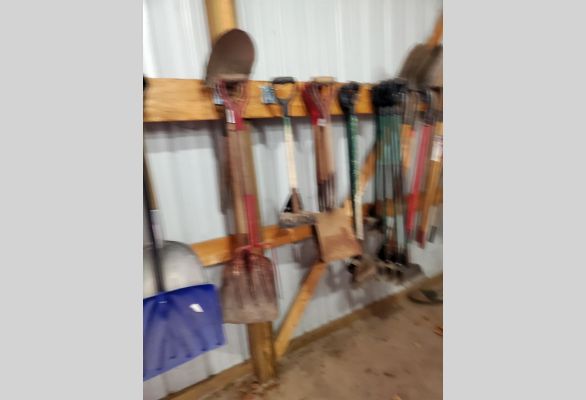 Auction listing photo