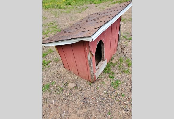 Auction listing photo