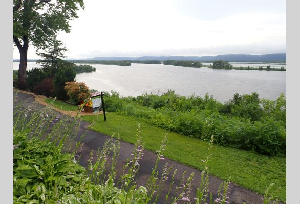 Auction listing photo