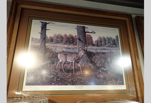 Auction listing photo