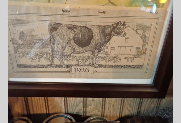 Auction listing photo
