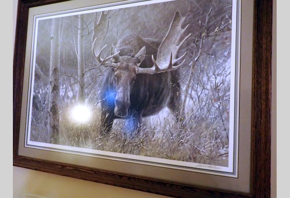 Auction listing photo