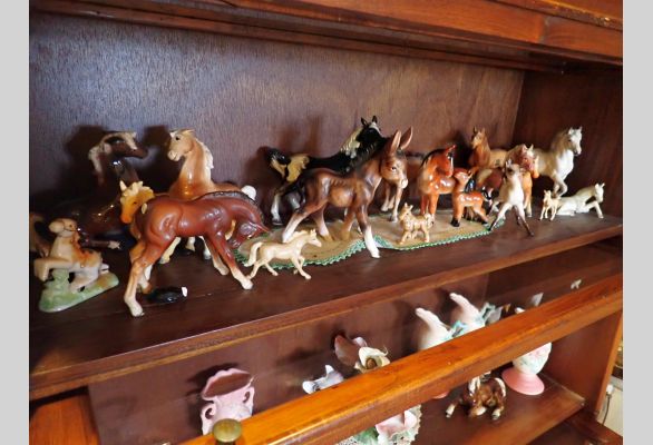 Auction listing photo