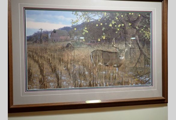 Auction listing photo