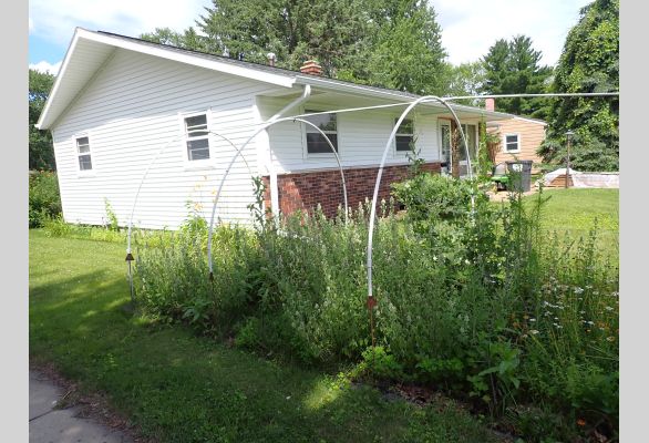 Auction listing photo