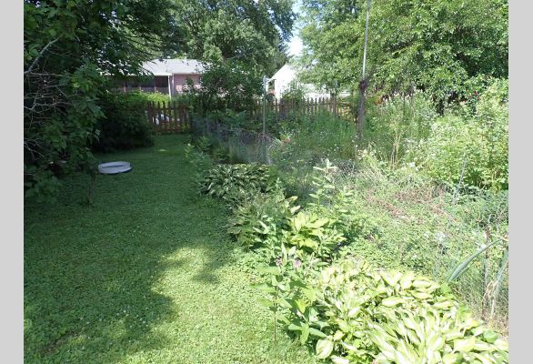 Auction listing photo