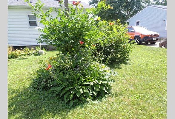 Auction listing photo