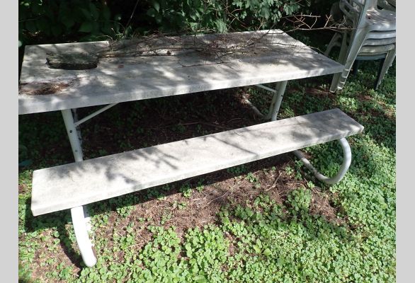 Auction listing photo