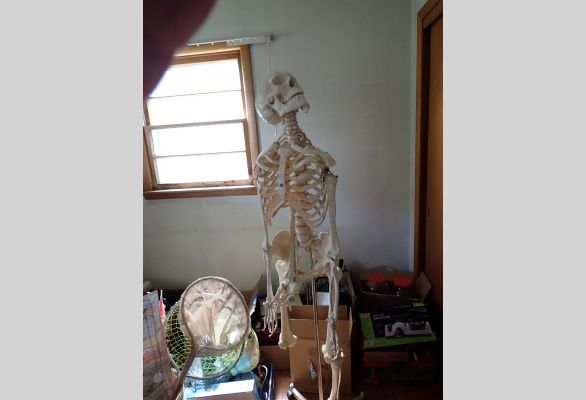 Auction listing photo