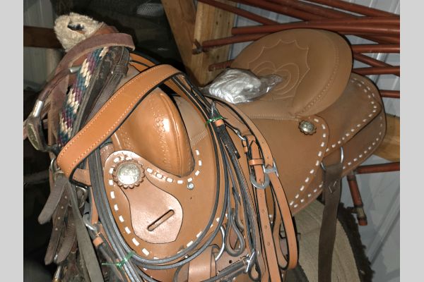 Auction listing photo
