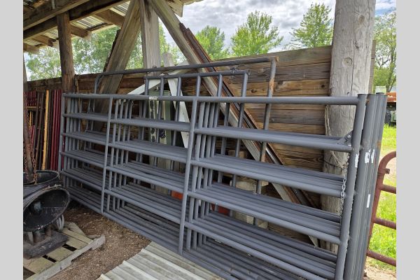 Auction listing photo
