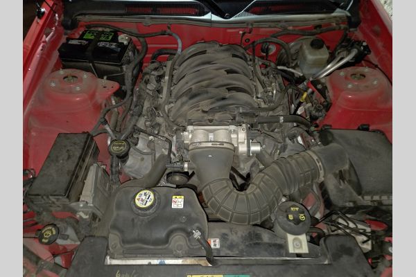 Auction listing photo