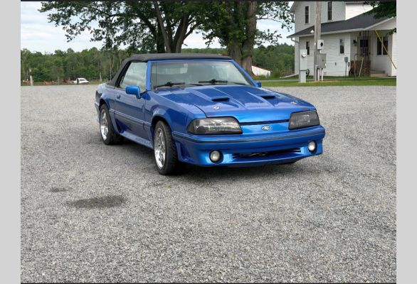 Auction listing photo