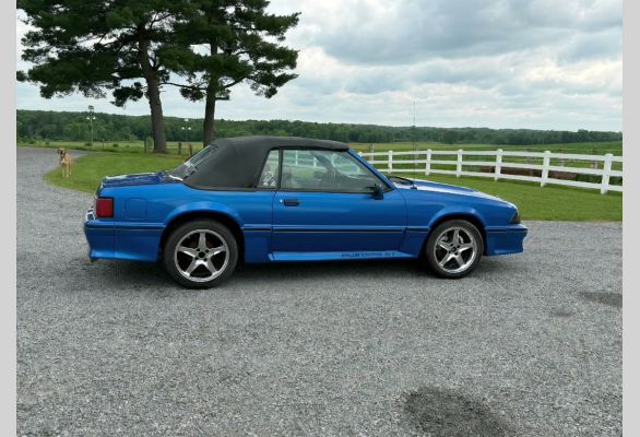 Auction listing photo
