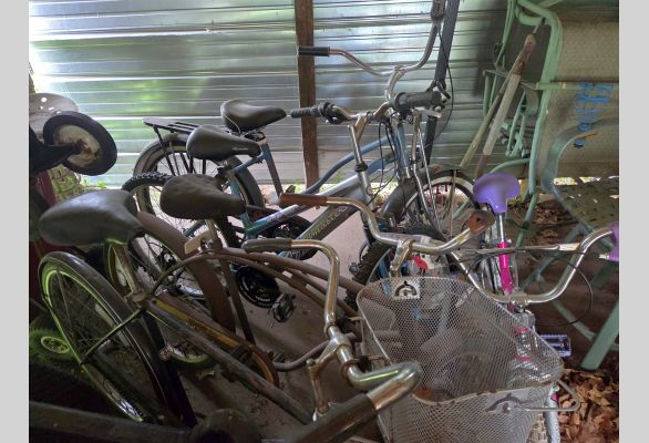 Auction listing photo