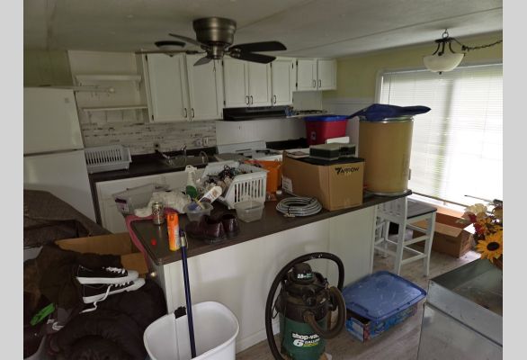 Auction listing photo