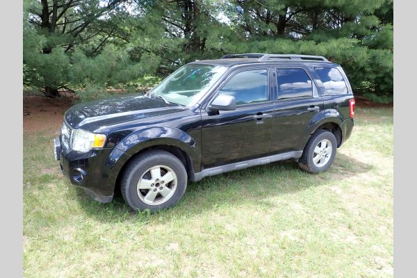 Auction listing photo