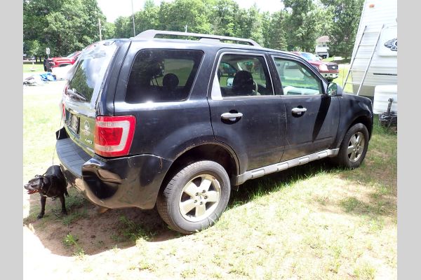 Auction listing photo