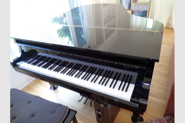 Auction listing photo