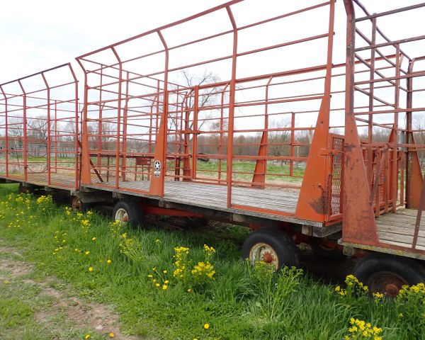 Auction listing photo