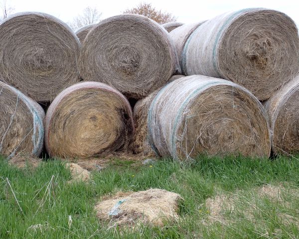 Auction listing photo