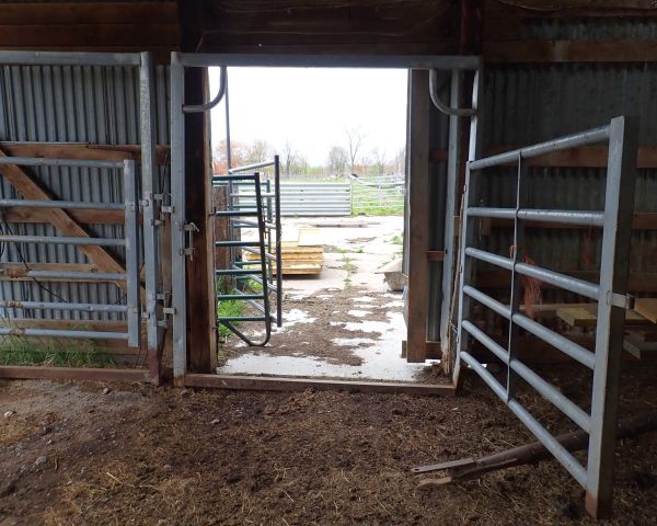 Auction listing photo