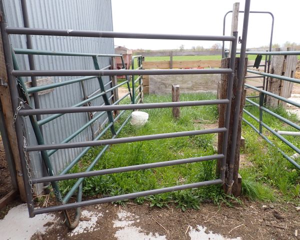 Auction listing photo