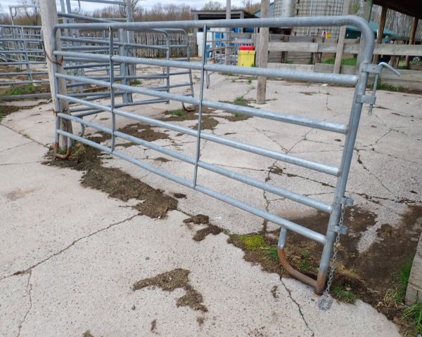 Auction listing photo