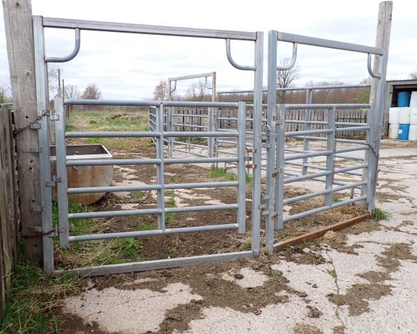 Auction listing photo