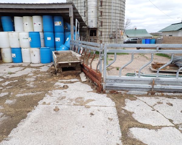 Auction listing photo