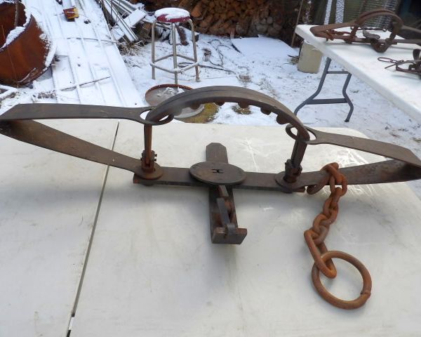 auction image