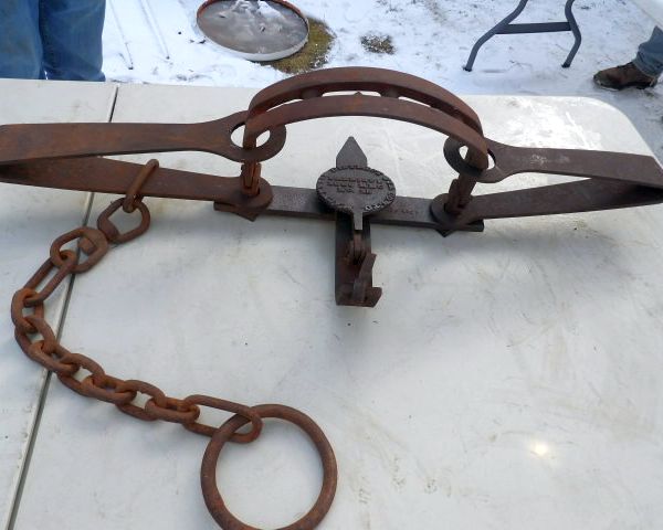 auction image