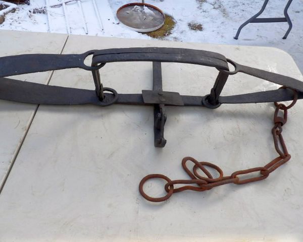 auction image