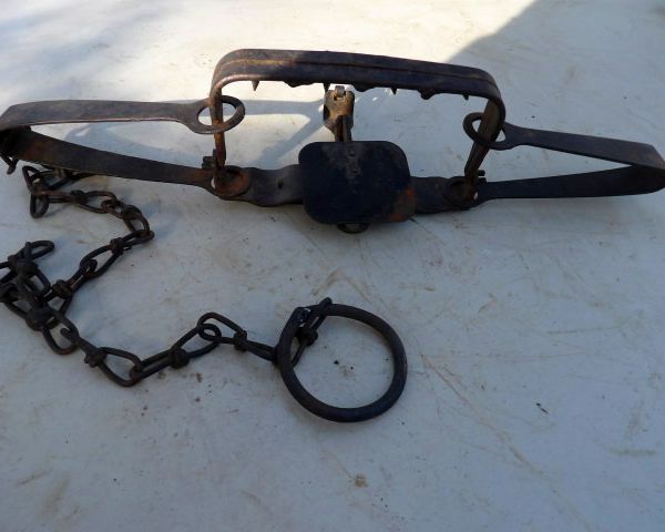auction image