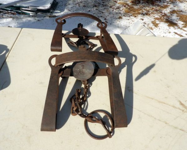 auction image