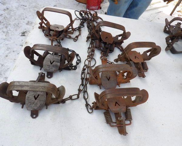 auction image