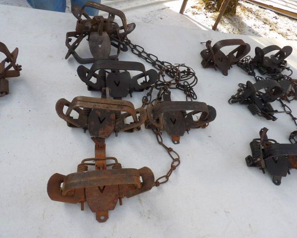 auction image