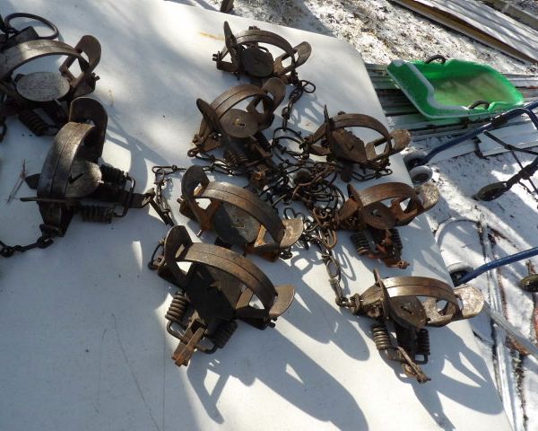 auction image