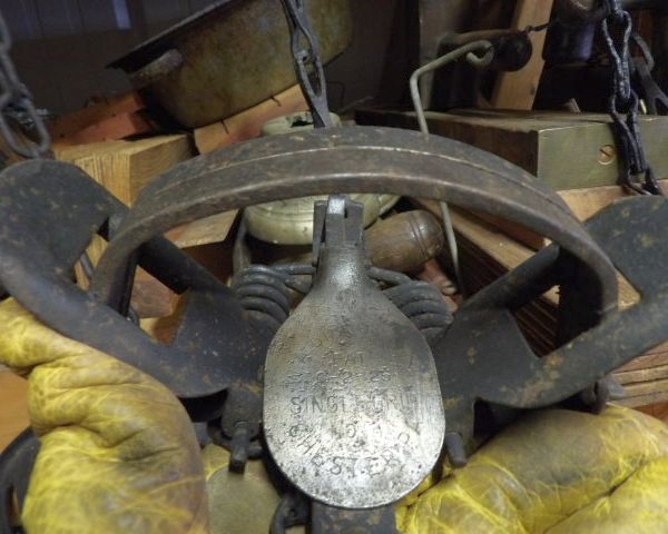 auction image