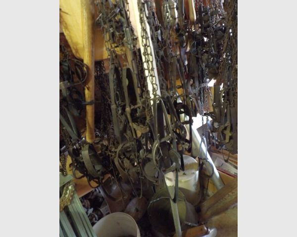 auction image