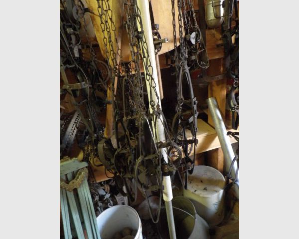 auction image
