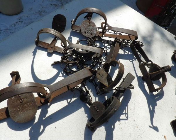 auction image