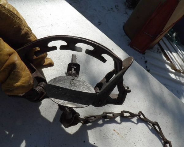 auction image
